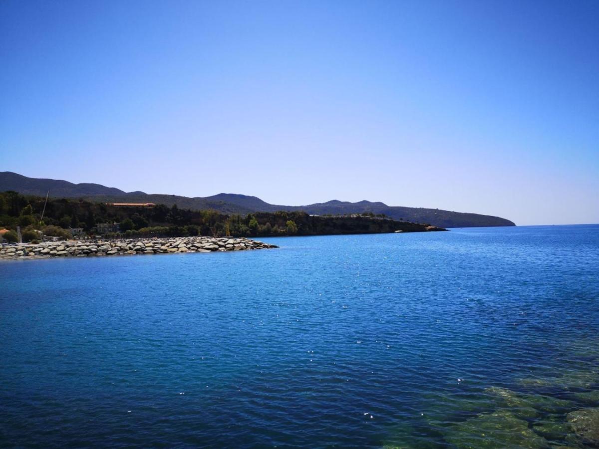 Panos & Antzy Apartments Kalamata Bagian luar foto
