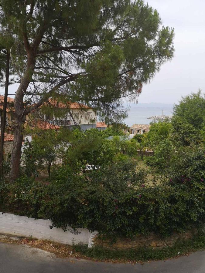 Panos & Antzy Apartments Kalamata Bagian luar foto
